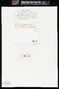 Image Associated With the Occurrence