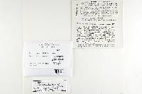 Thumbnail image of current specimen