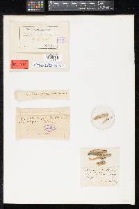 Image Associated With the Occurrence