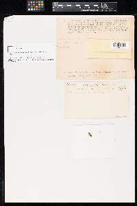 Image Associated With the Occurrence