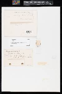 Image Associated With the Occurrence