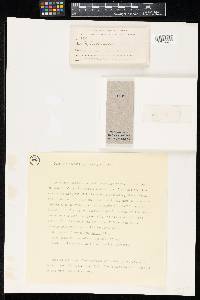 Thumbnail image of current specimen