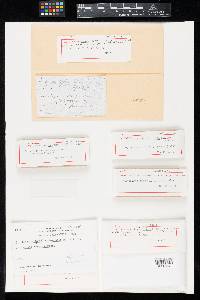 Chloroscypha chloromela image