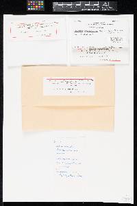 Image Associated With the Occurrence