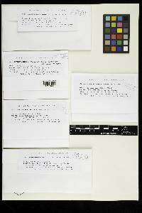 Image Associated With the Occurrence