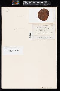 Image Associated With the Occurrence