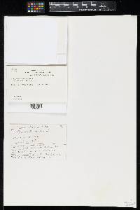 Image Associated With the Occurrence