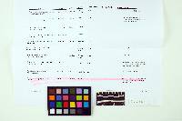 Ganoderma sessile image