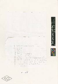 Lanatonectria flavolanata image