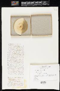 Media resource of Chaetomium pinnatum