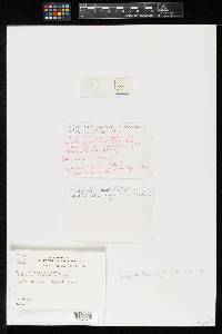 Image Associated With the Occurrence