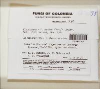 Image Associated With the Occurrence