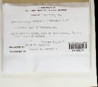 Image Associated With the Occurrence