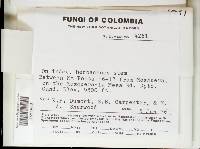 Image Associated With the Occurrence