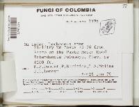 Image Associated With the Occurrence