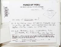 Image Associated With the Occurrence