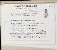 Image Associated With the Occurrence