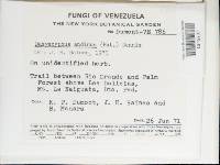 Image Associated With the Occurrence