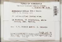 Image Associated With the Occurrence