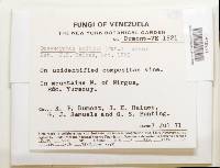 Image Associated With the Occurrence