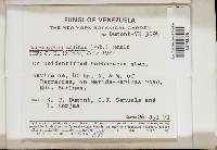 Image Associated With the Occurrence