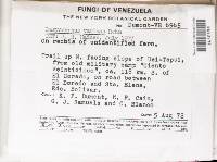 Image Associated With the Occurrence