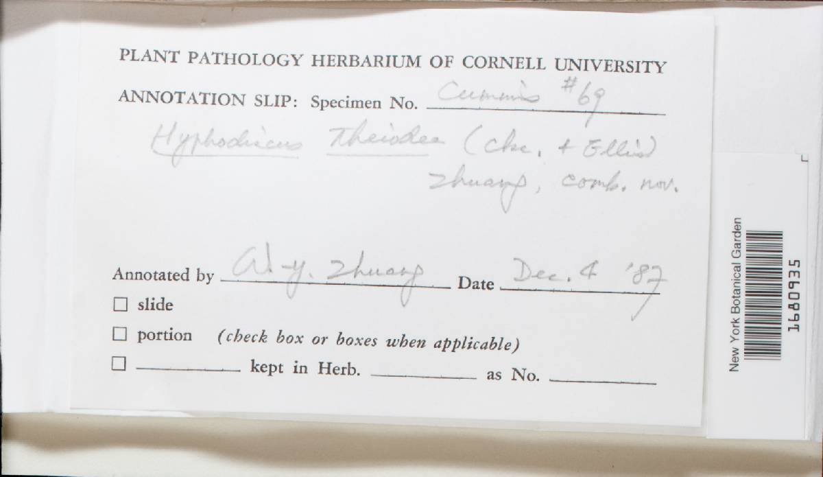 Hyphodiscus theiodeus image