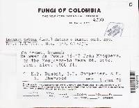 Image Associated With the Occurrence