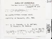 Image Associated With the Occurrence