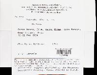 Image Associated With the Occurrence