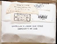 Image Associated With the Occurrence