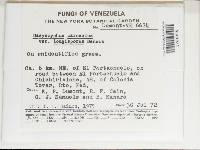 Image Associated With the Occurrence