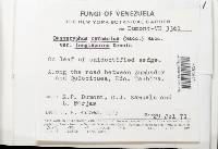 Image Associated With the Occurrence