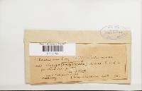 Image Associated With the Occurrence