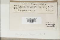 Image Associated With the Occurrence