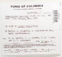 Image Associated With the Occurrence