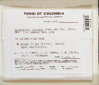 Image Associated With the Occurrence