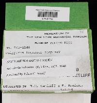 Thumbnail image of current specimen