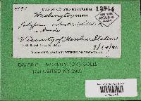 Image Associated With the Occurrence