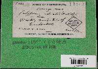 Image Associated With the Occurrence