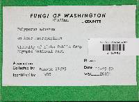 Image Associated With the Occurrence