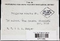 Image Associated With the Occurrence