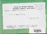 Image Associated With the Occurrence