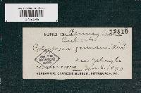 Image Associated With the Occurrence