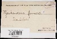 Image Associated With the Occurrence