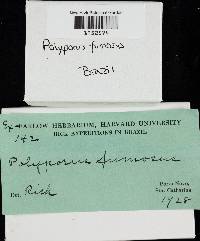 Image Associated With the Occurrence