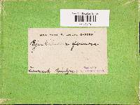 Image Associated With the Occurrence