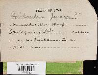 Image Associated With the Occurrence