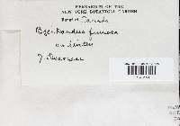 Image Associated With the Occurrence