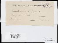 Image Associated With the Occurrence